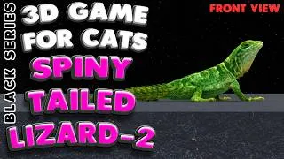 Thumbnail: Cat TV | The Spiny-tailed Lizard 2 (front view) | 10 Hours |  4K, 60 fps