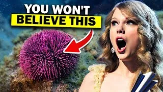 Thumbnail: Most SHOCKING Taylor Swift facts!