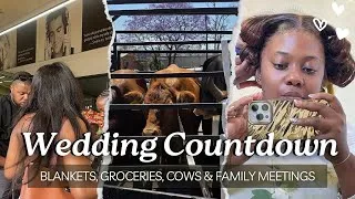 Thumbnail: Our Wedding Countdown Diaries Part 2: Love in Every Detail 💍💫 || Umembeso Zulu Culture 🐄