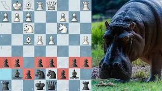 Thumbnail: The Hippo Defense Can't Stop Winning