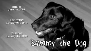 Thumbnail: Our Dearest Sammy