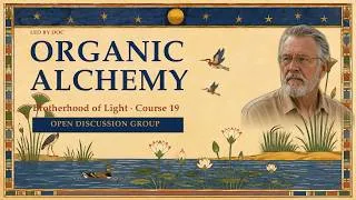 Thumbnail: Why Pleasure and Pain Are Not Reward and Punishment | Course 19