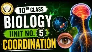 Thumbnail: This is the Work of Biology for Class 10th:   Unit: 5th(Coordination