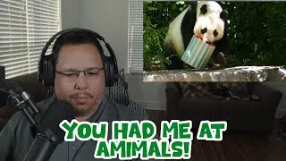 Thumbnail: American Reacts To THE GHAN Gold Service REVIEW, Adelaide to Darwin | Cabin & Excursions