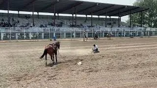 Thumbnail: Tie down roping - Fort Hall, Idaho