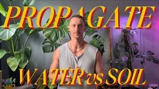 Thumbnail: Water vs Soil Propagation: Which is Best for Houseplants? 🌿