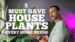 Thumbnail: 5 Plants Every Home Needs 🌿 Easy, Beautiful & Hard to Kill