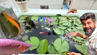 Thumbnail: New Monsters Update #monsterfish 🐡