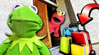 Thumbnail: Kermit The Frog Moves back in with Elmo!