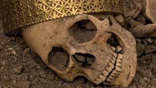 Thumbnail: These Discoveries Changed Everything We Know