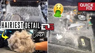 Thumbnail: Deep Cleaning The HAIRIEST Harley Davidson F-150!