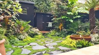 Thumbnail: Small, Secluded City Garden with Tropical Planting and Stunning Water Feature in Ealing W13