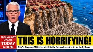 Thumbnail: Florida Dumped Half a Million Tons of Oyster Shells Offshore… Look What Formed