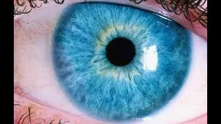 Thumbnail: HOW IT WORKS: The Human Eye
