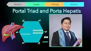 Thumbnail: Porta Hepatic and Portal Triad (Macroscopic to Microscopic World)