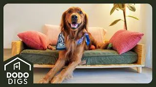 Thumbnail: Woman Builds Her Dog A Mini Version Of Her Couch | The Dodo