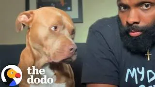 Thumbnail: People Were Afraid Of This Pit Bull So Her Dad Built A Community | The Dodo