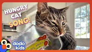 Thumbnail: 🎵🎶 Gimme Dat! (The Hungriest Cat In The World) MUSIC VIDEO SONG 🎵🎶 | Dodo Kids | Music For Kids