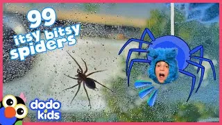 Thumbnail: Woman Who’s Afraid Of Spiders Has To Become A Spider Rescuer! | Dodo Kids | Rescued!
