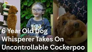 Thumbnail: 6 Year Old Dog Whisperer Meets Lonely Cockapoo | The Dog House 🐶