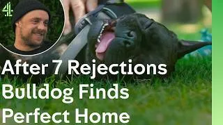 Thumbnail: After 7 Rejections, Bulldog Buddy Finds His Perfect Home | The Dog House 🐶