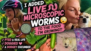 Thumbnail: Good days & hard days. I add live worms to my food! Crazy cucumbers & my darling dogs