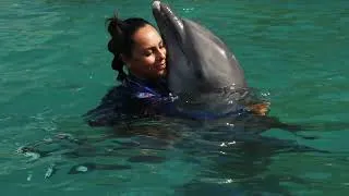 Thumbnail: ¡Celebramos 31 Años Juntos! 💙🐬 | The Dolphin Company