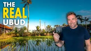 Thumbnail: Don't Smile at the Monkeys! (Here's Why) 🐒🇮🇩
