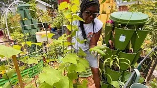 Thumbnail: Garden Walk Through  | Seed Starting 