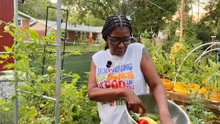 Thumbnail: Harvesting For The Big Family Gathering!