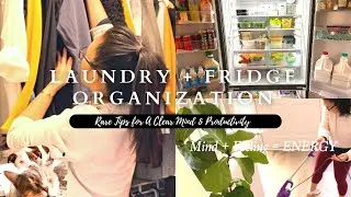Thumbnail: FRIDGE ORGANIZATION with DOLLAR TREE Items  | Laundry | Rare Tips for a CLEAR MIND & PRODUCTIVITY