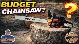 Thumbnail: Can a Budget 62cc Chainsaw Handle a 30” Tree?