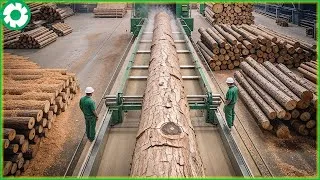 Thumbnail: The Gigantic Machine That Turns Millions of Logs into Lumber FAST | Heavy Machinery
