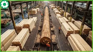 Thumbnail: How Logs Become Lumber: Inside America’s Mills Producing Laminated Veneer Lumber & Heavy Machinery