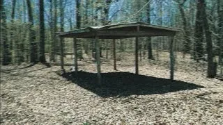 Thumbnail: The Awning and The Tree