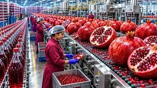 Thumbnail: Inside the World's Largest Pomegranate Wine Factory in USA | How It's Made, Step by Step