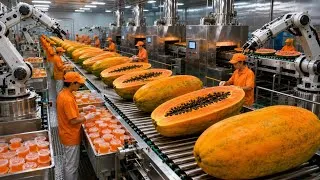 Thumbnail: Inside a MASSIVE Papaya Jelly Factory | Harvest to Colorful Packets (Full Process)
