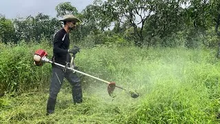 Thumbnail: How to use Grass Cutting machine | Brush Cutter Agriculture Machine