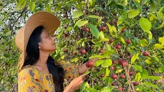 Thumbnail: Kokum Fruit Recipes | Kokum Sharbat | Kokum Kadhi Recipe