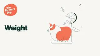 Thumbnail: The Farmer's Dog: Weight