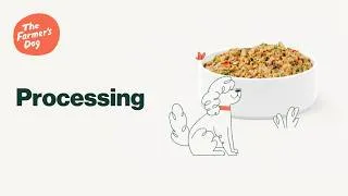 Thumbnail: The Farmer's Dog: Processing