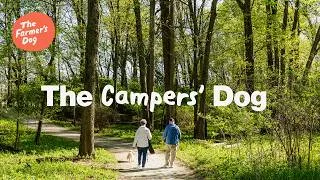 Thumbnail: The Farmers Dog Real Stories: The Campers' Dog