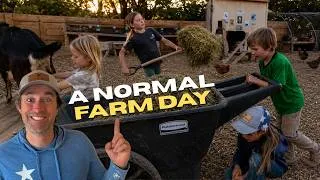 Thumbnail: My Kids Run Farm Chores Better Than Most Adults