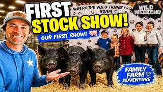 Thumbnail: First Stock Show Experience! Raising Show Pigs on Our Family Farm