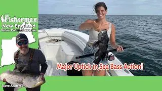 Thumbnail: July 23rd 2026 New England Video Fishing Forecast with Dave Anderson