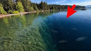 Thumbnail: This Lake is 1000ft Deep... Let's Fish It