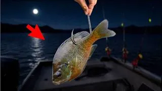 Thumbnail: 12 Hours to Catch a Monster Fish (Can We Do It?)