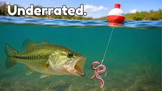 Thumbnail: Everything You Need to Know About Fishing a Bobber