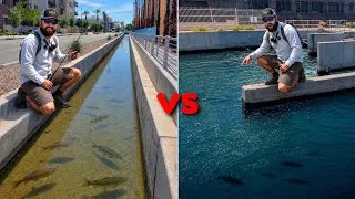 Thumbnail: Shallow vs Deep Canal Fishing Challenge
