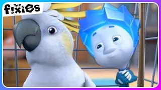 Thumbnail: Nolik and The Parrot 🦜| The Fixies | Educational Cartoons For Kids